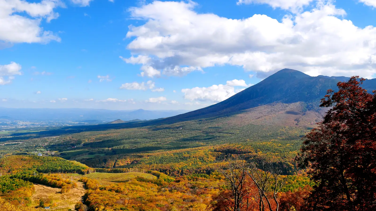 紅葉の八幡平と岩手山の眺め