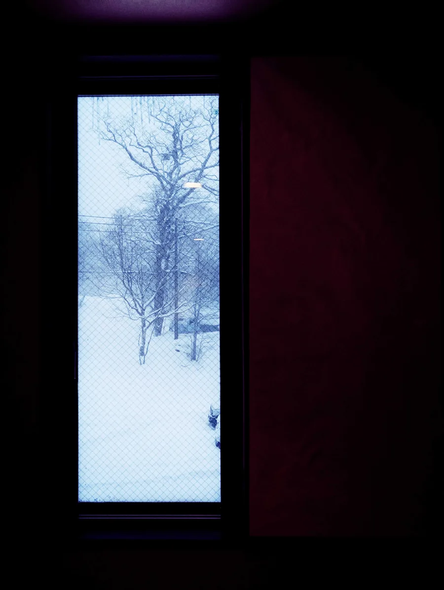 窓の外に広がる雪景色